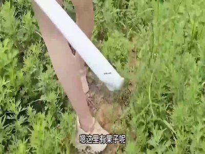 [MP4/ 403M] 精品乱伦我的乱伦日记 - 饥渴妹妹陪哥哥去户外钓鱼 中途尿尿勾引 河边露天野战抱着树干后入狂插 