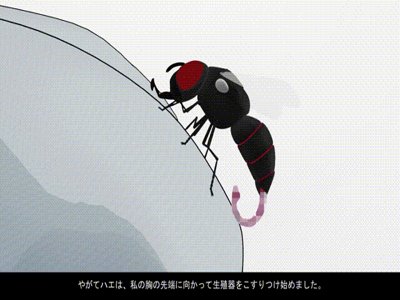 [動畫] [サークルNF] 虫交乳悦 